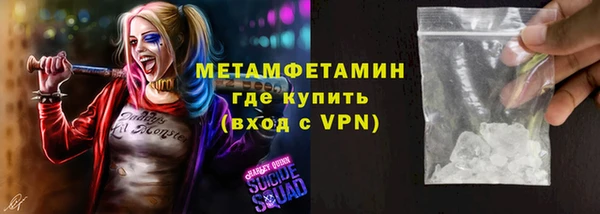 индика Абаза