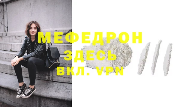 индика Абаза
