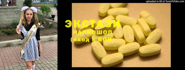 индика Абаза