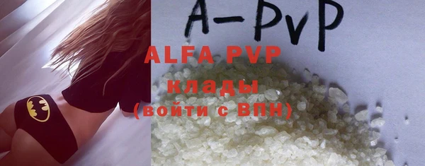 индика Абаза