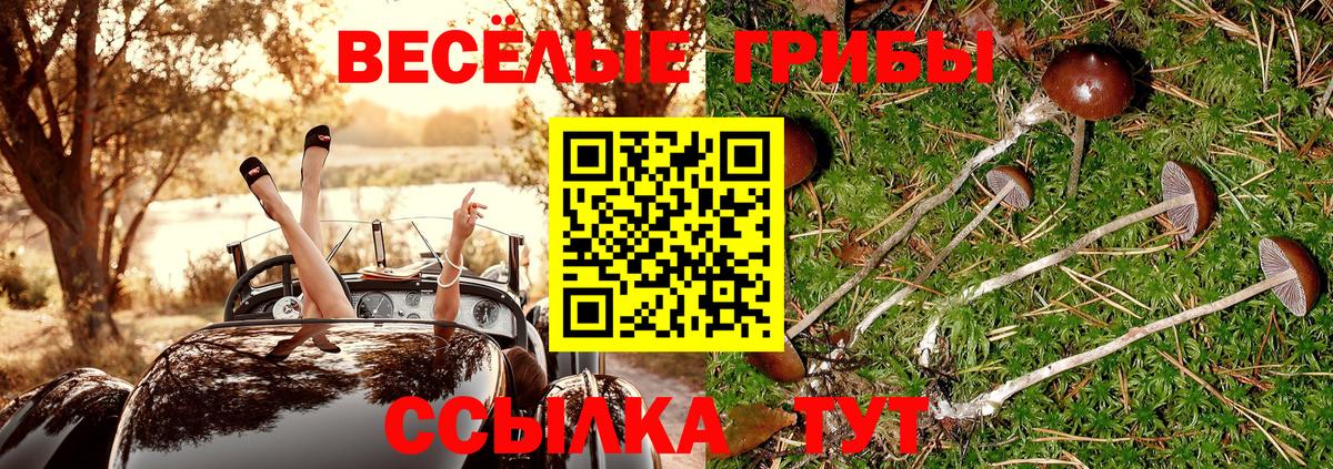 Псилоцибиновые грибы ЛСД  Галлюциногенные грибы Psilocybine cubensis  Вход с VPN  Черемхово 